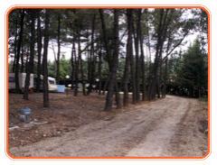 Camping El Pinar de Jábaga