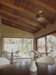 El Castaño Dormilón