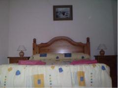 Apartamentos Turísticos Hortensia