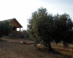 Apartamentos Turísticos Las Cabañas del Pantano