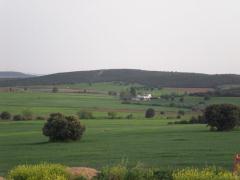 Apartamentos Turísticos Las Cabañas del Pantano