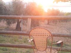 Apartamentos Turísticos Las Cabañas del Pantano