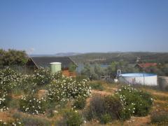 Apartamentos Turísticos Las Cabañas del Pantano