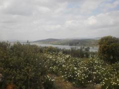 Apartamentos Turísticos Las Cabañas del Pantano