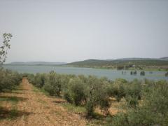Apartamentos Turísticos Las Cabañas del Pantano