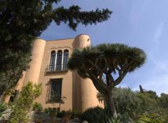 Bodas al aire hispano-musulmán