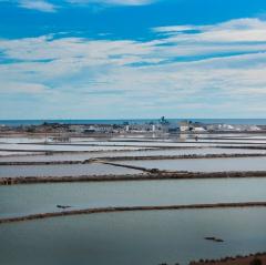 HOTEL LODOMAR THALASSO
