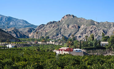 APARTAMENTOS TURÍSTICOS LA JOYA DEL VALLE DE RICOTE