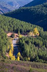 Apartamentos Turísticos El Vallejo I y II