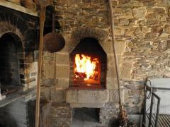 O Castro de Villaosende