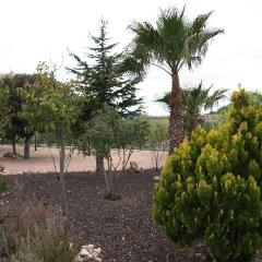 HOSPEDERÍA FINCA DEL OLMO RESORT