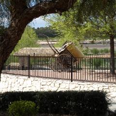 HOSPEDERÍA FINCA DEL OLMO RESORT