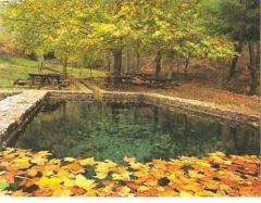 Apartamentos Turísticos Molino Pataslargas