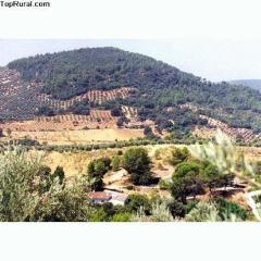 Apartamentos Turísticos Molino Pataslargas