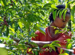 Cocina italiana en el corazón de África