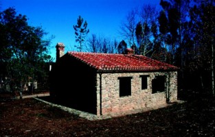 "EL CASTAÑAR IV"
