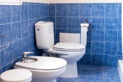 AGROLAVIA. PLANTA BAJA