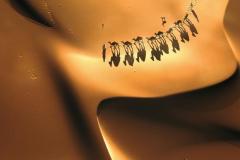El desierto perfecto