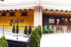 XALOA