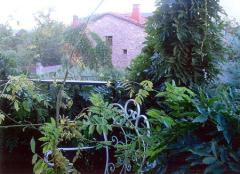 EL BALCÓN DE NUÑO COJO