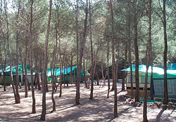CAMPING LA PUERTA