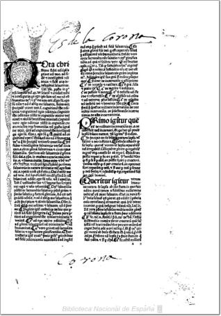 Summa universae theologiae, sive Quaestiones super quattuor libros Sententiarum.