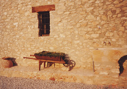 CASAS DE LA VENTA SECA. CASA ANA