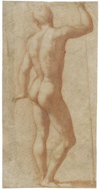 Desnudo masculino visto de espaldas