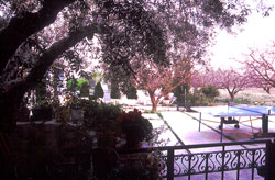 CORTIJO LA MERENDERA