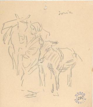 Soriana con mula y burro