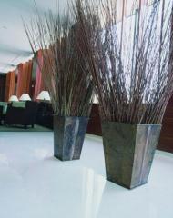 Hotel AC Guadalajara