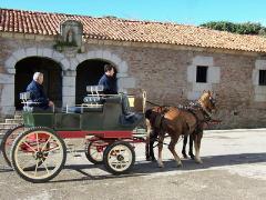 Pension Hospedaje Javier