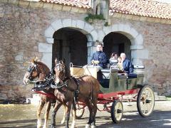 Pension Hospedaje Javier