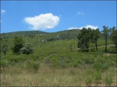 Casa Rural El Rincón de los Montes