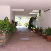 El Domingo en el Valle - El Cerezo