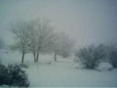 Apartamentos Turísticos El Cabo