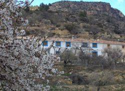 CASAS AZUZAM. CASA TÍO PEDRO MIGUEL