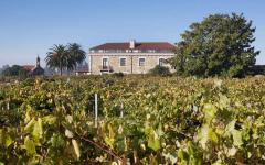 Canónigo de Galegos