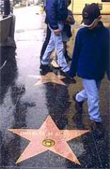 En busca de las estrellas