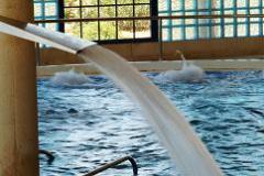 Hotel Balneario Cervantes