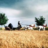 Hacienda La Boticaria