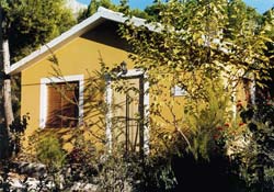 LA NAVELA. LOS GERANIOS