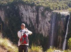 'Fondue' con araucarias