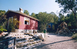 LA NAVELA. LOS CLAVELES