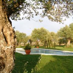 Hotel Olivar de las Mangas