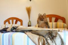 Apartamentos Turísticos Doña Ruidera