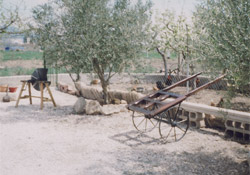 CASA REINA. CAMPO DE ARRIBA