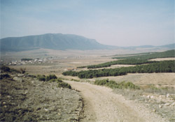 CASA REINA. CAMPO DE ARRIBA
