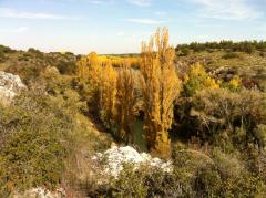 Apartamentos Turísticos Hoces del Batanejo El Palomar
