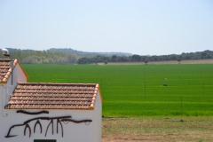 Apartamentos Turísticos Hoces del Batanejo El Palomar